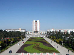 111.jpg